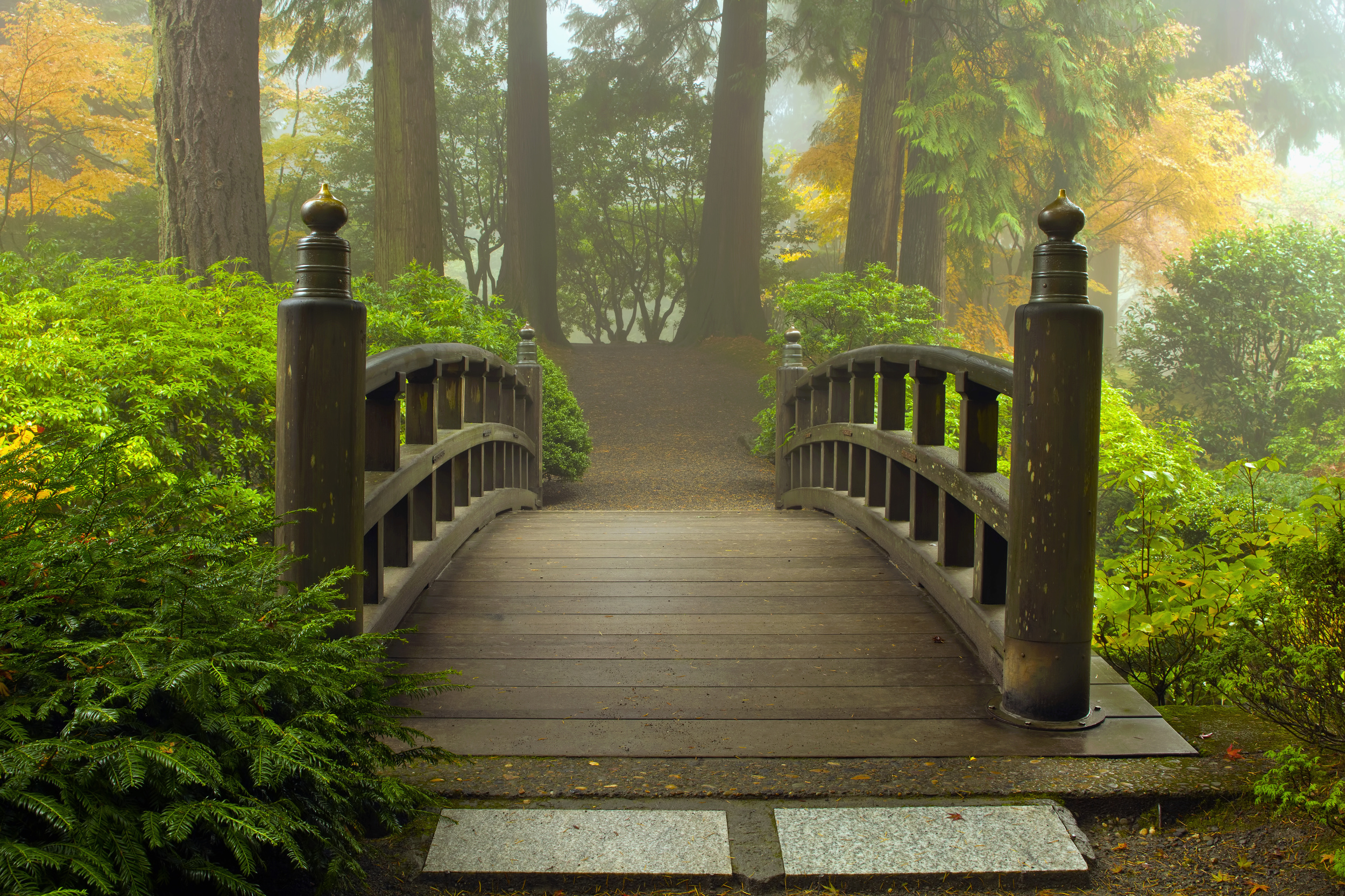 Dollarphotoclub_27290121.jpg