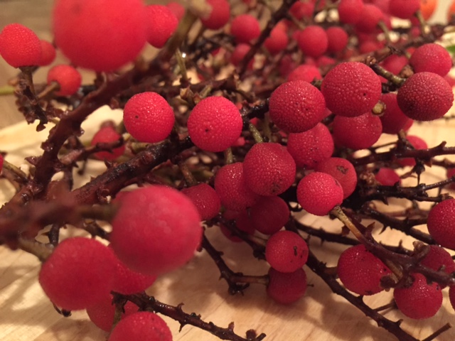 Madrone Berries