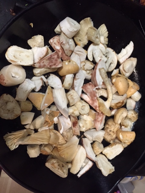 A pan full of a. velosa and a. novinupta (bruising red), very special spring mushrooms!