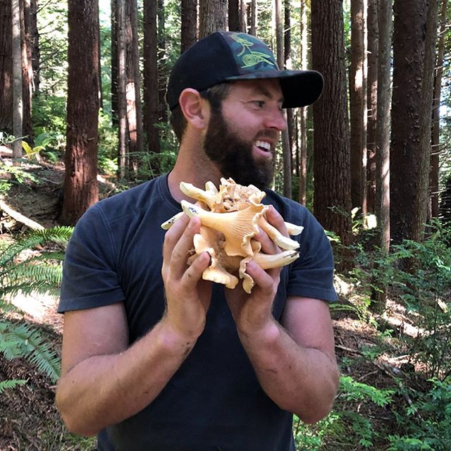 A change of pace for @forrest.galante searching for something that&rsquo;s wildly abundant. I think he was also keeping half an eye out for bigfoot 🐵🤣#extinctoralive #foraging #renewableresources #conservation #wildlifebiology #chanterelles #forest