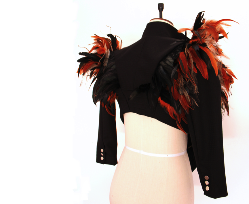  jnipr collection