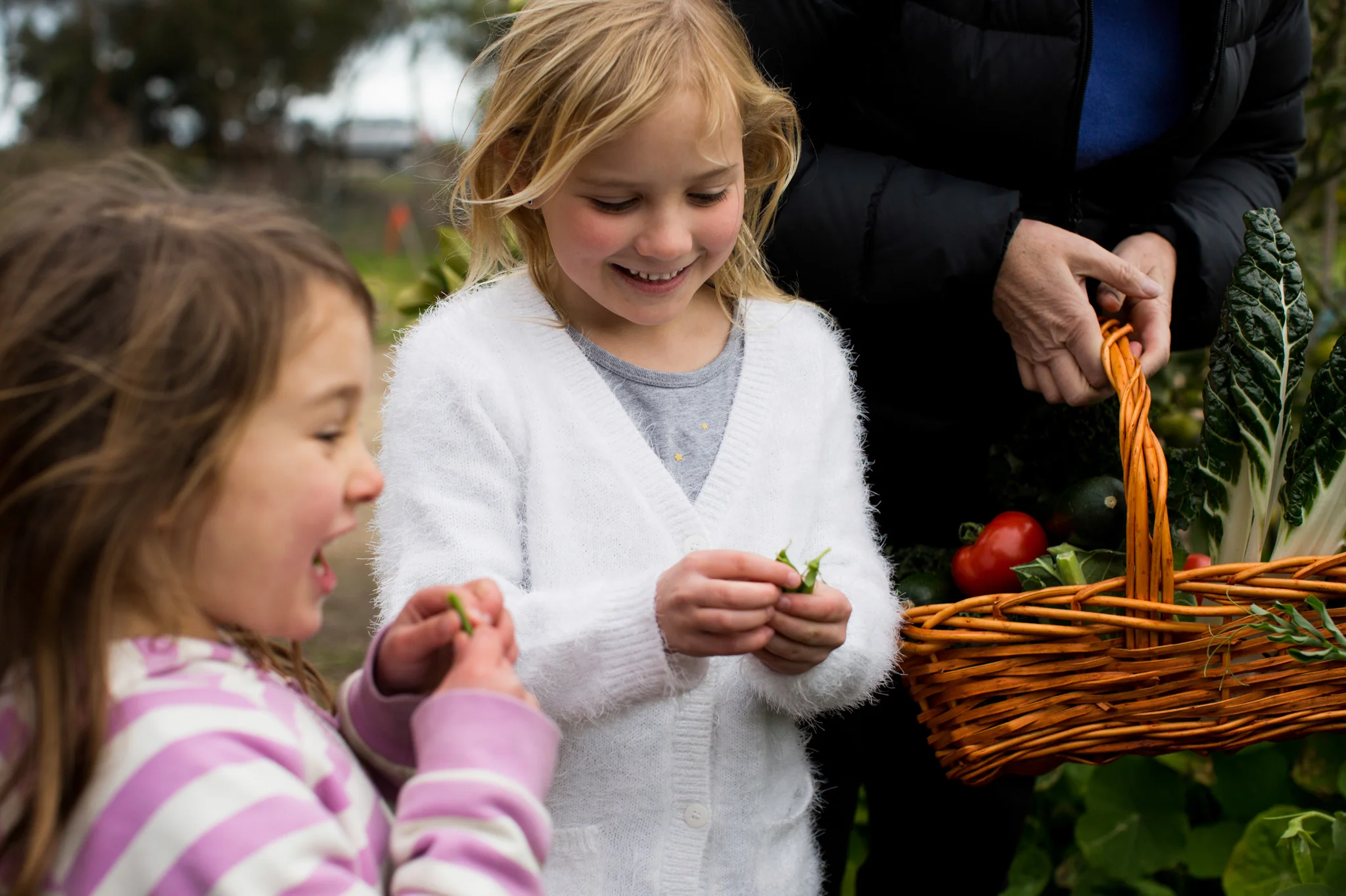 Kids Go Bush - Free Playgroup Session