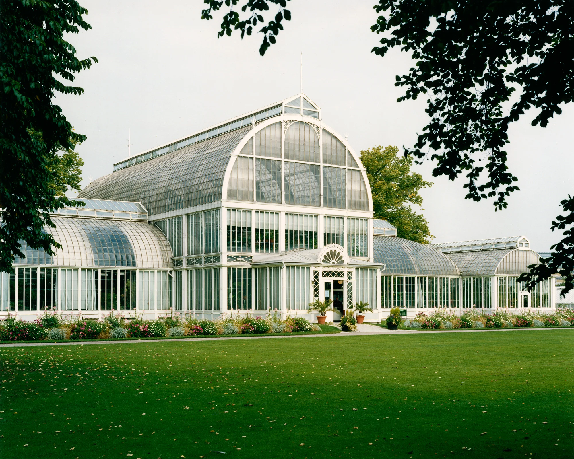 Palmhuset Gegerfelt