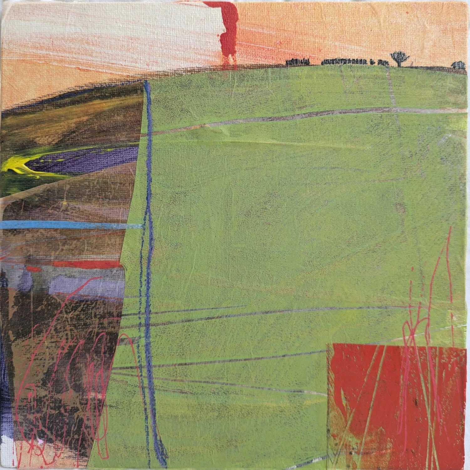 Geums by Anne-Marie Butlin — cambridge contemporary art