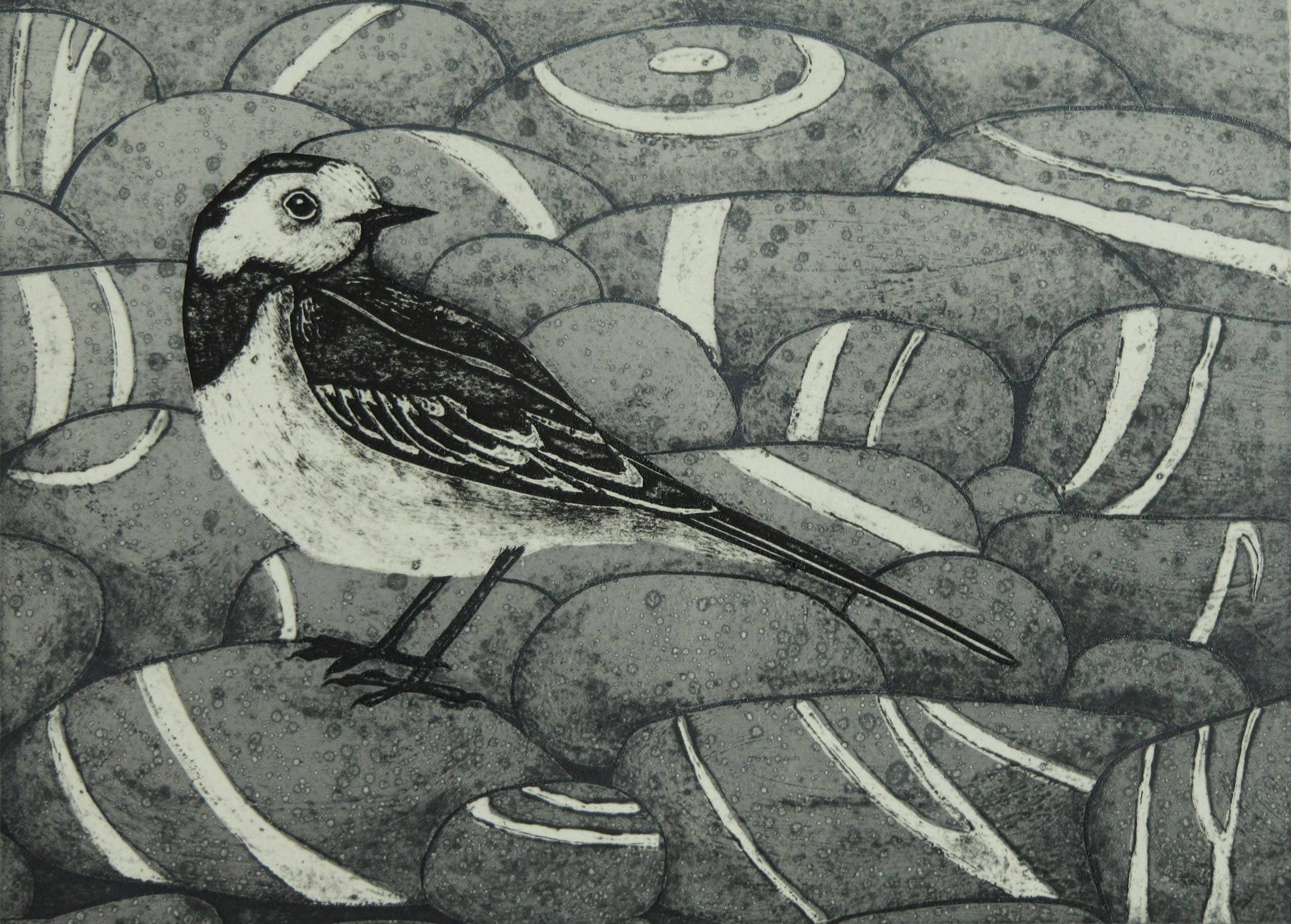 Pied Beauty collagraph