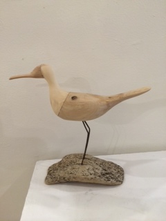Phalarope driftwood