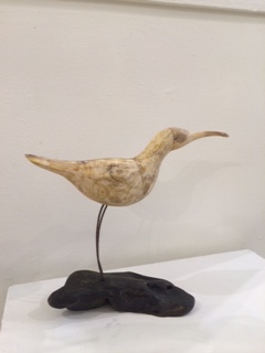 Whimbrel driftwood