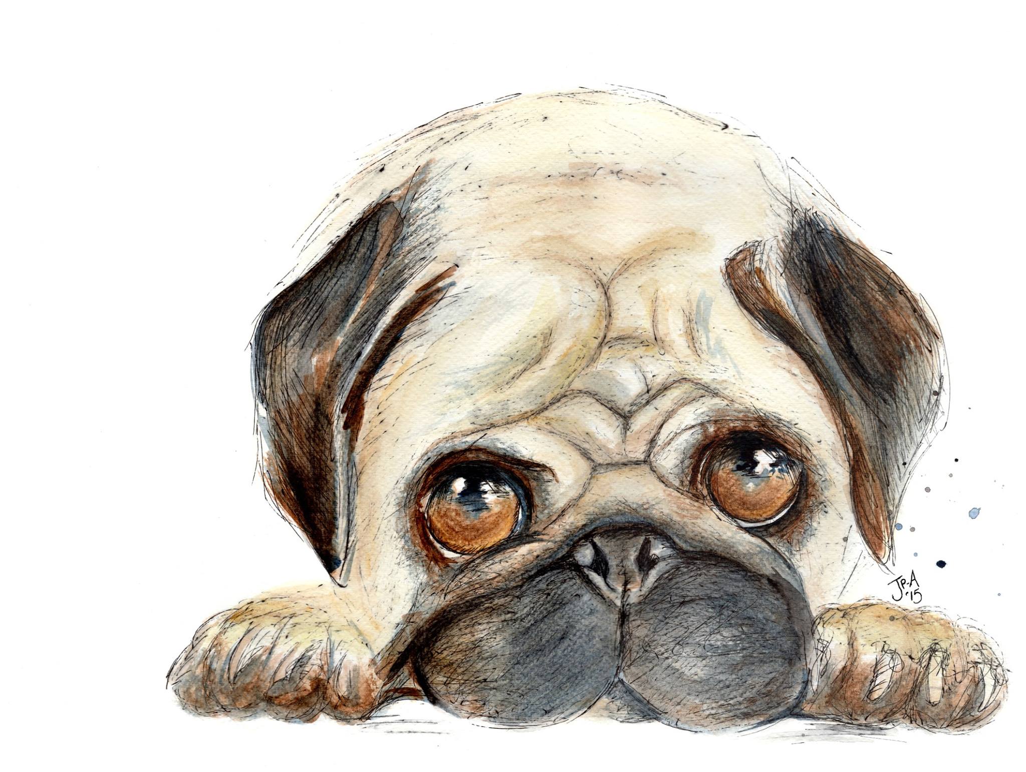 Can't Kick My Pug Addiction watercolour & ink £285