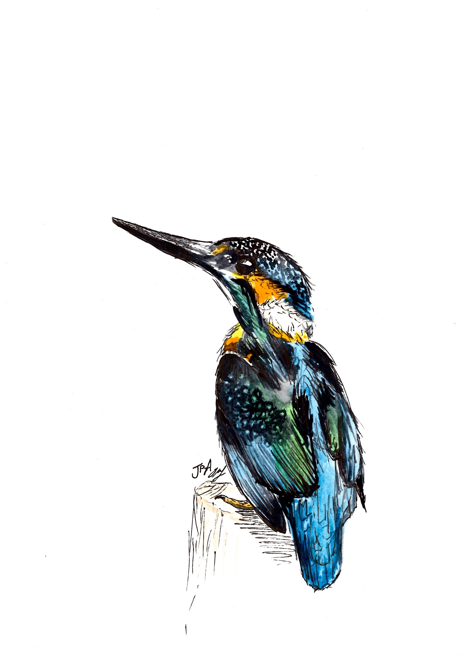 King of the River watercolour & ink sold