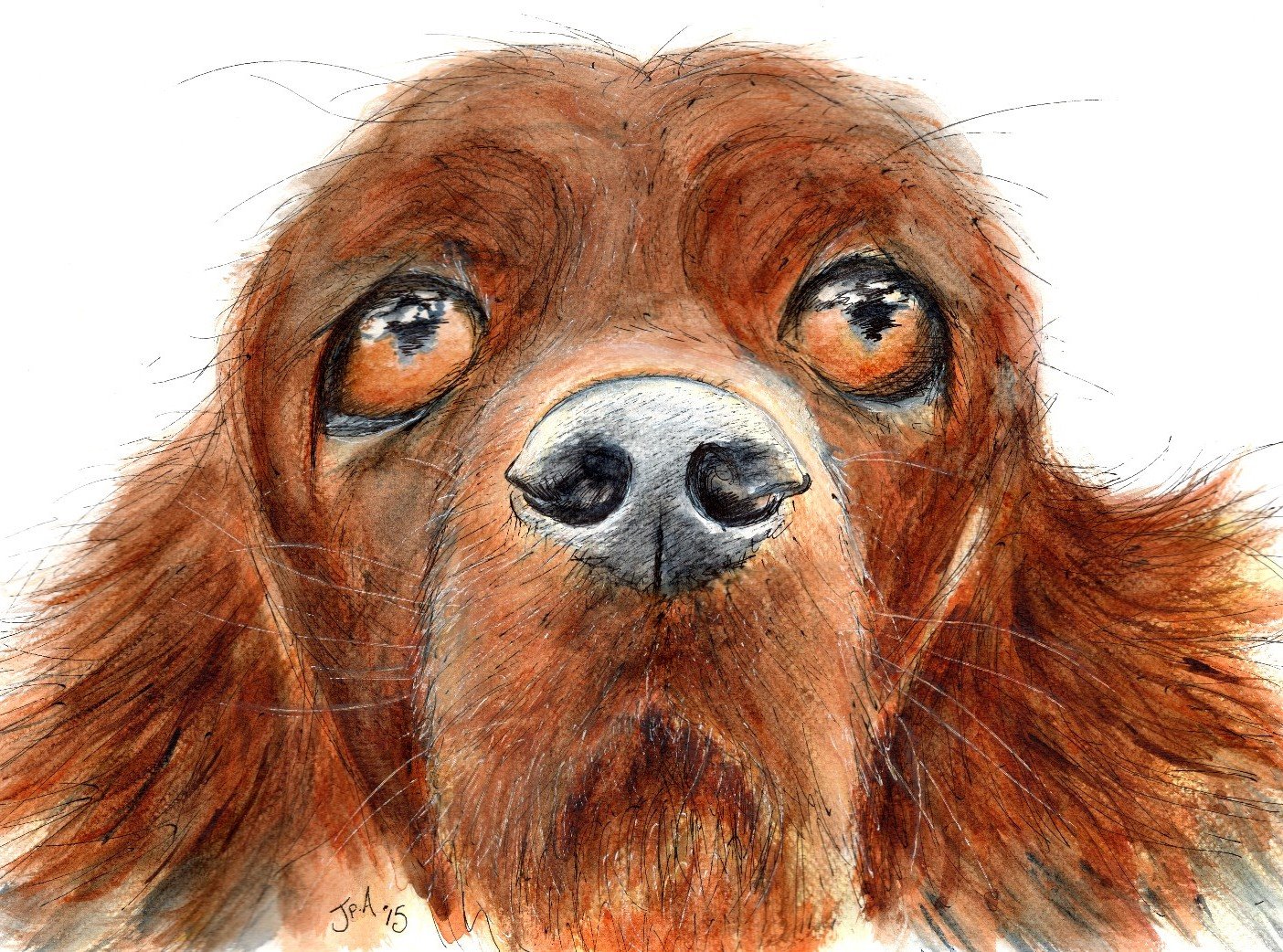 Mum, There's Some Mud On the Carpet... watercolour & ink £285