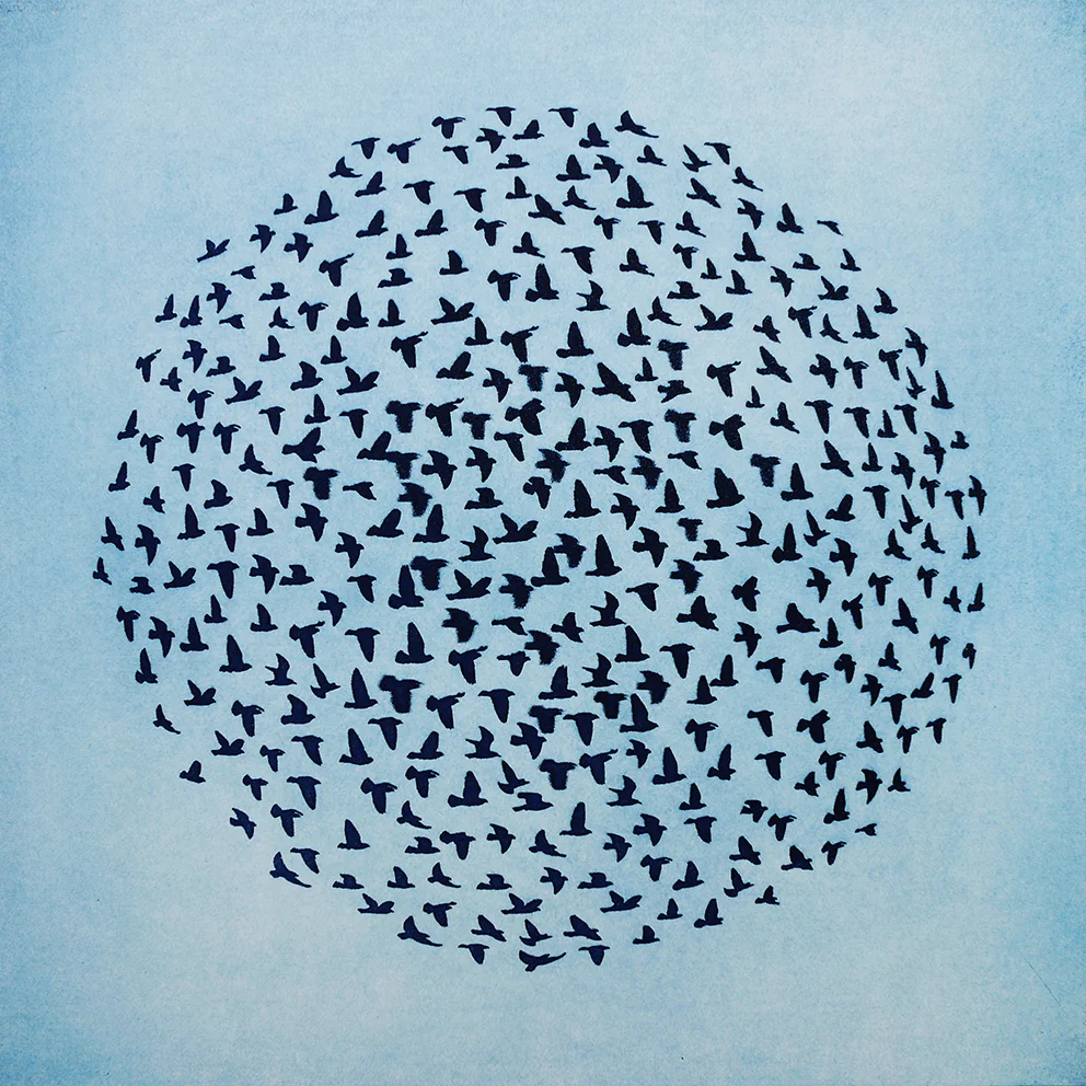 Lullaby of Birdland etching 48 x 48cm £300