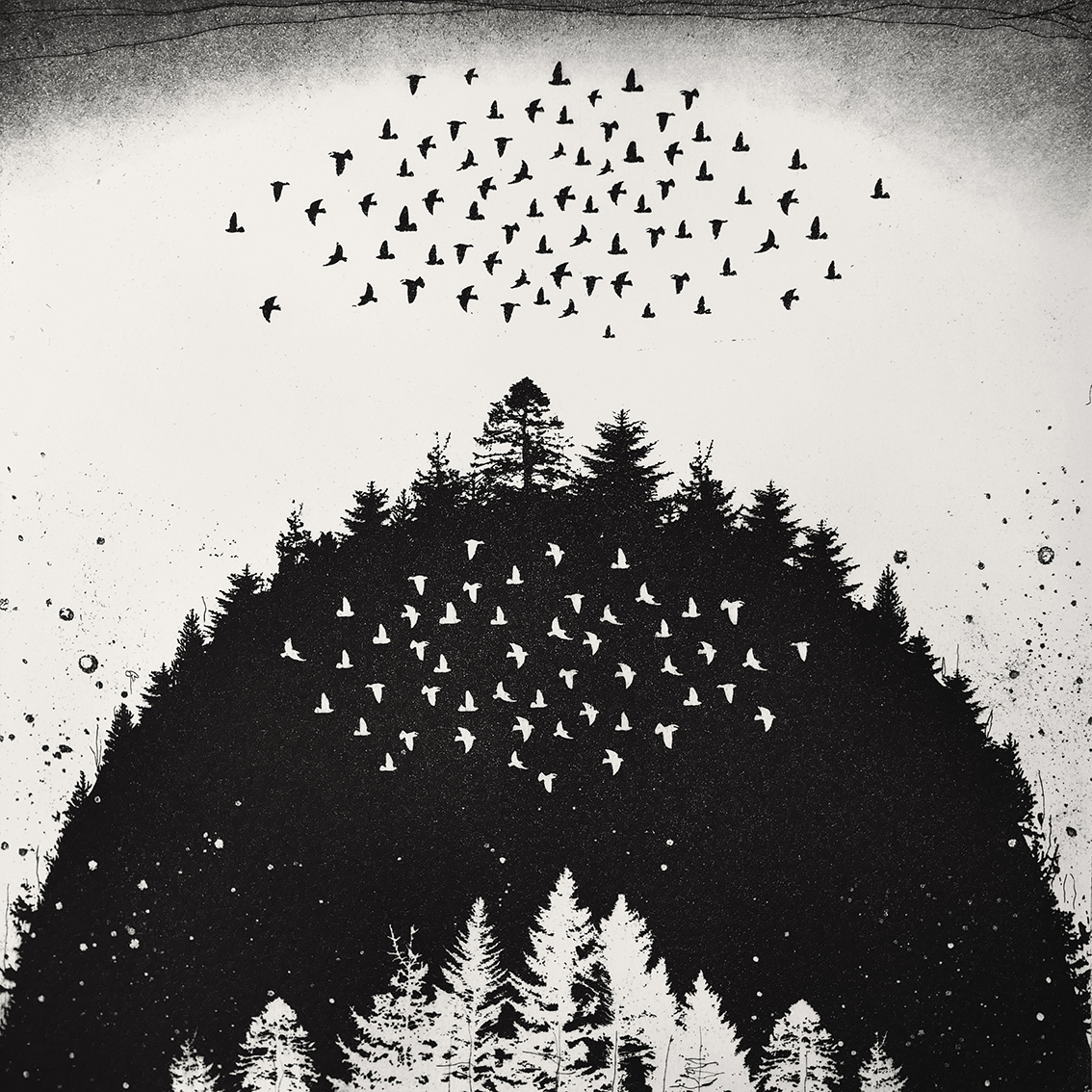 The Living Mountain etching 39 x 39cm £200 (unframed)