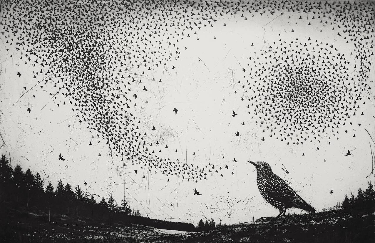 And Then Songs Filled the Air etching 76 x51cm £400 (unframed)