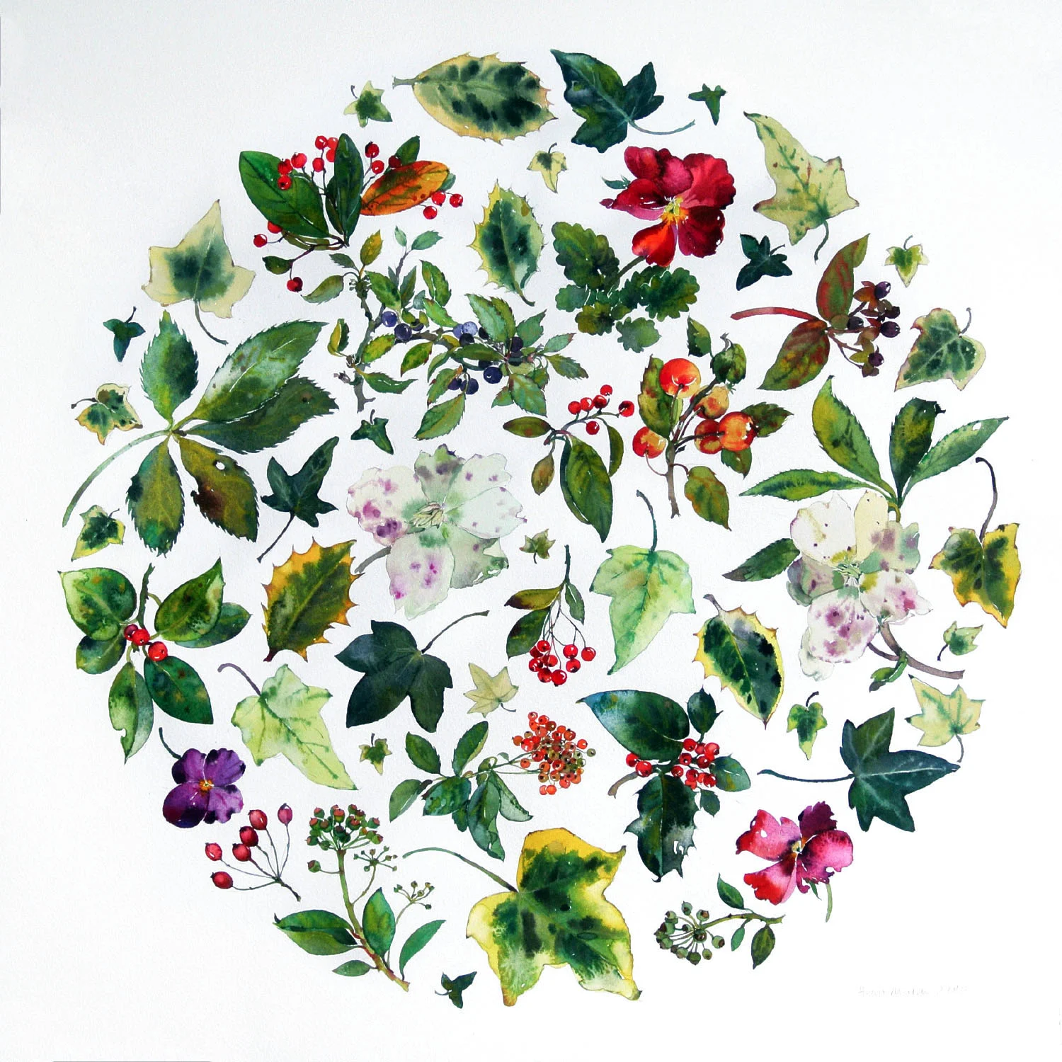 Winter Flower Circle watercolour 48 x 48 cm SOLD