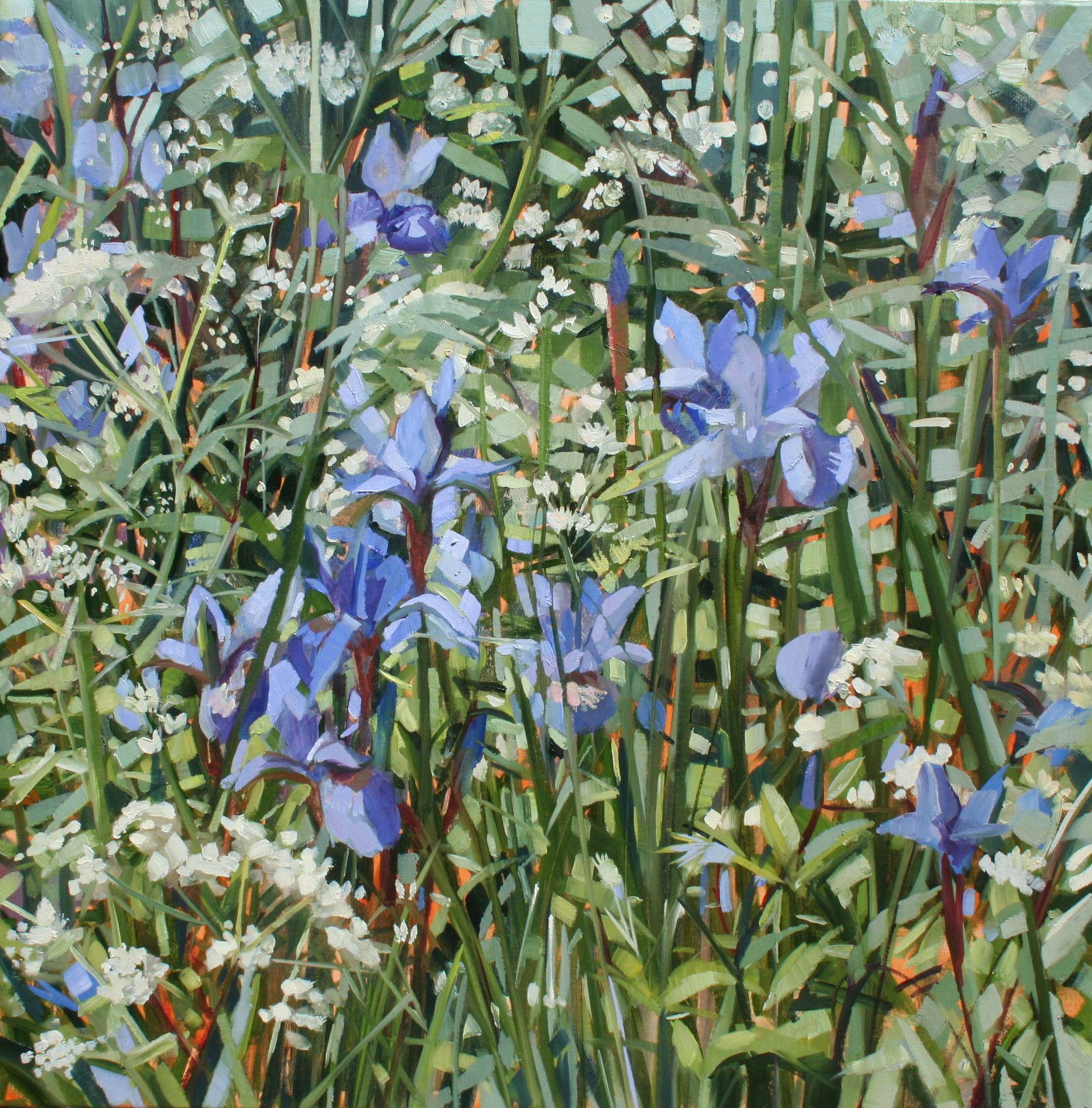 Water Iris oil on linen 60 x 60 cm SOLD