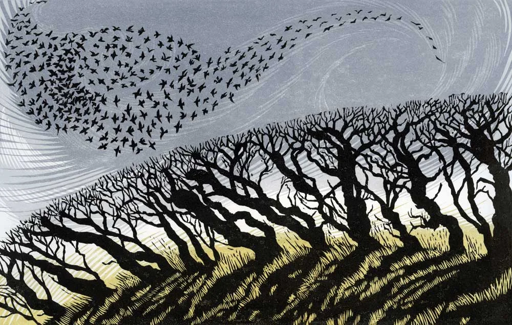 Niki Bowers November Starlings linocut