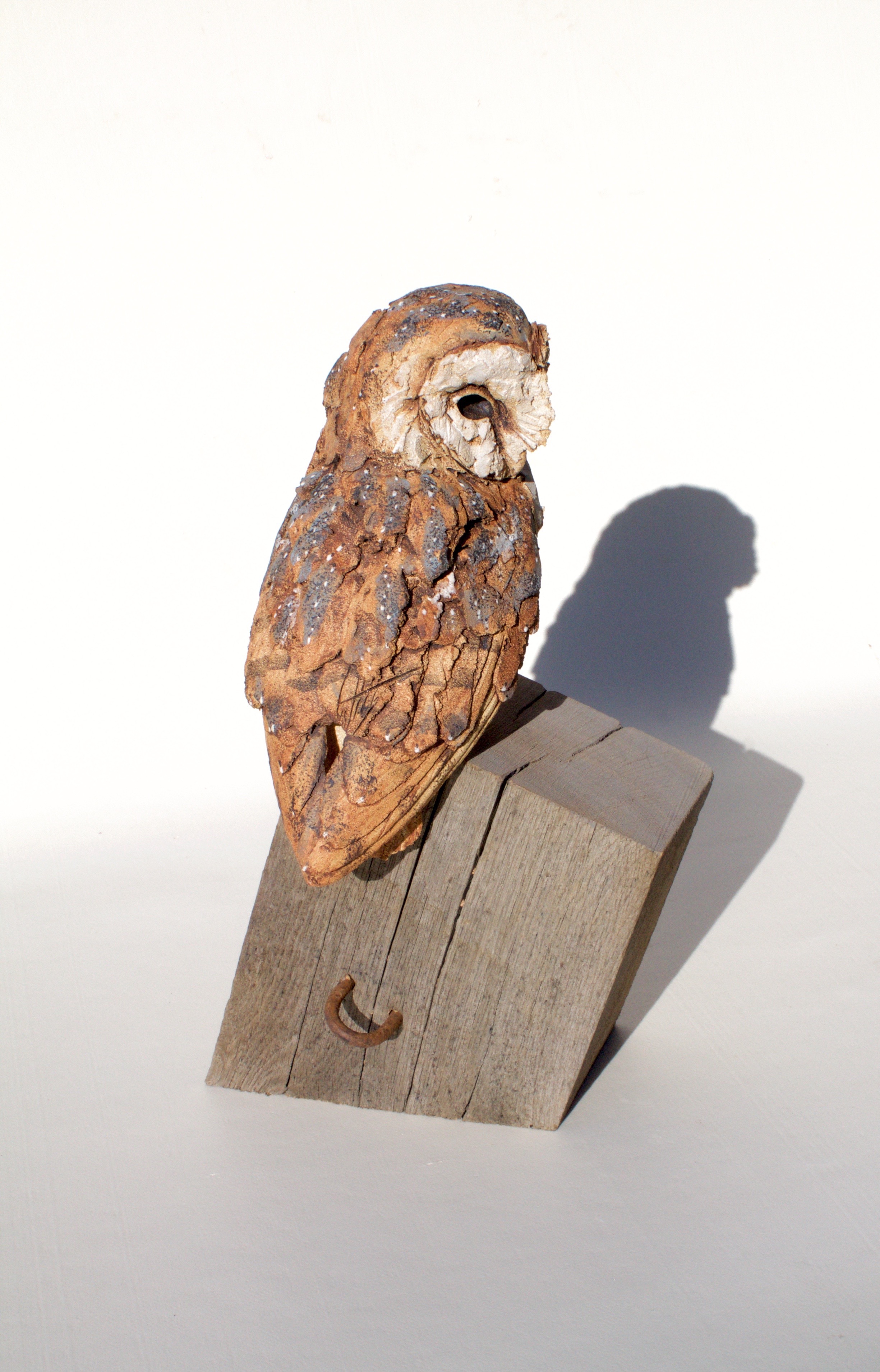 Perched Barn Owl ceramic on wood £550 SOLD