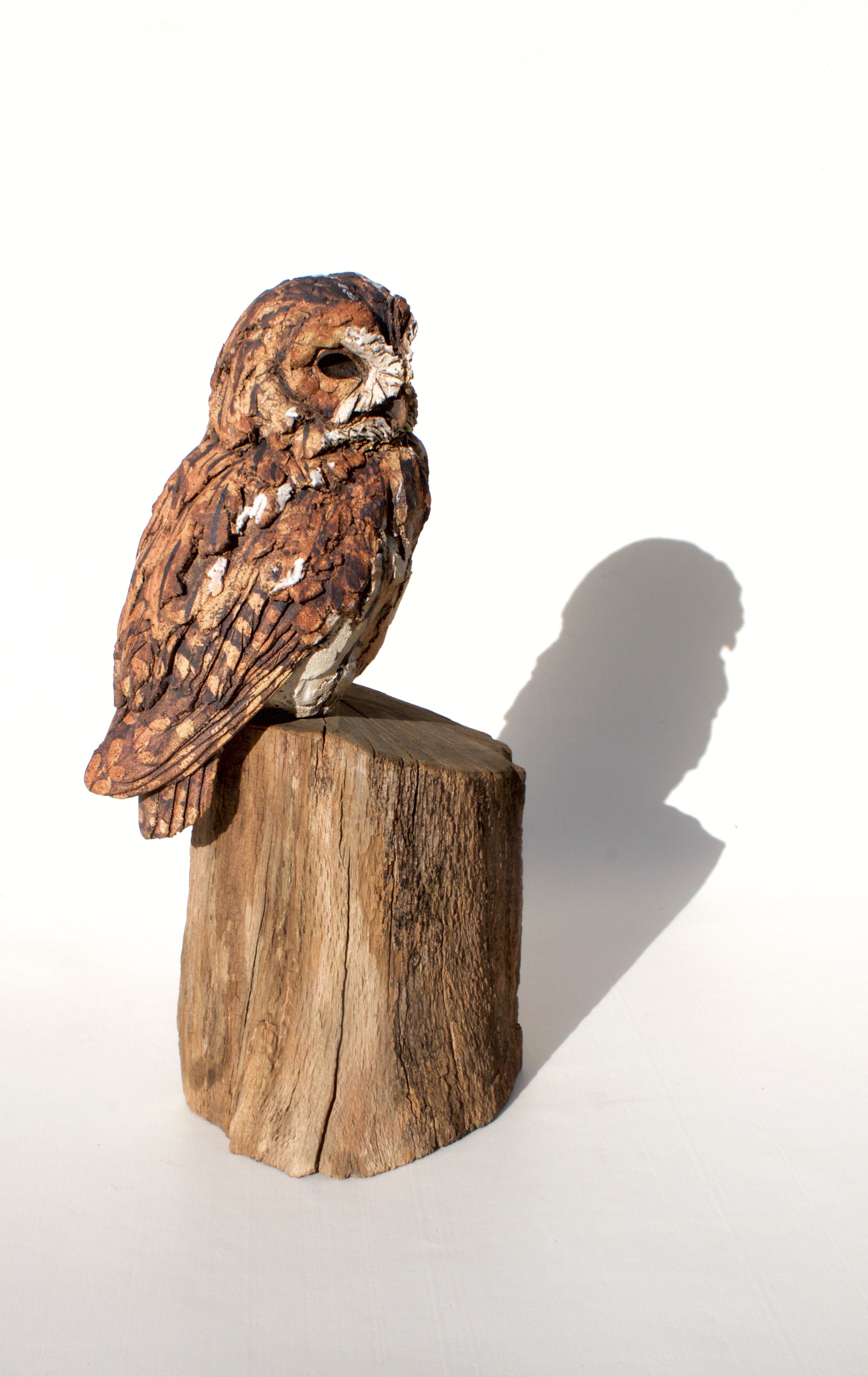 Perched Tawny Owl ceramic on wood £550 SOLD