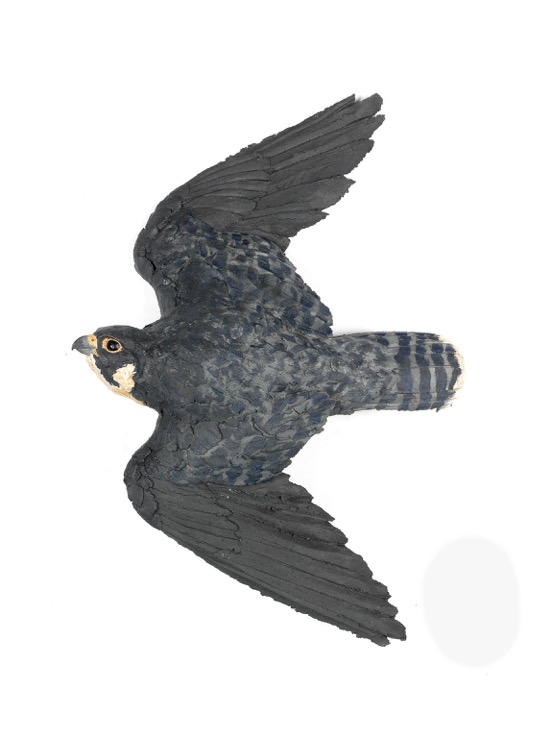 Flying Peregrin ceramic £990 SOLD