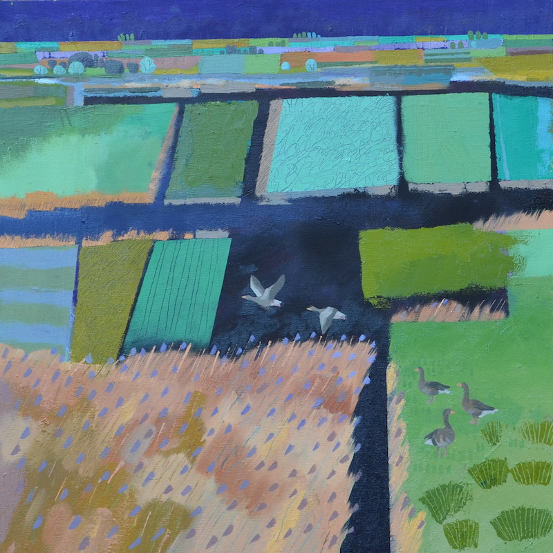 Fields and Reeds oil 80 x 80 cm £1850