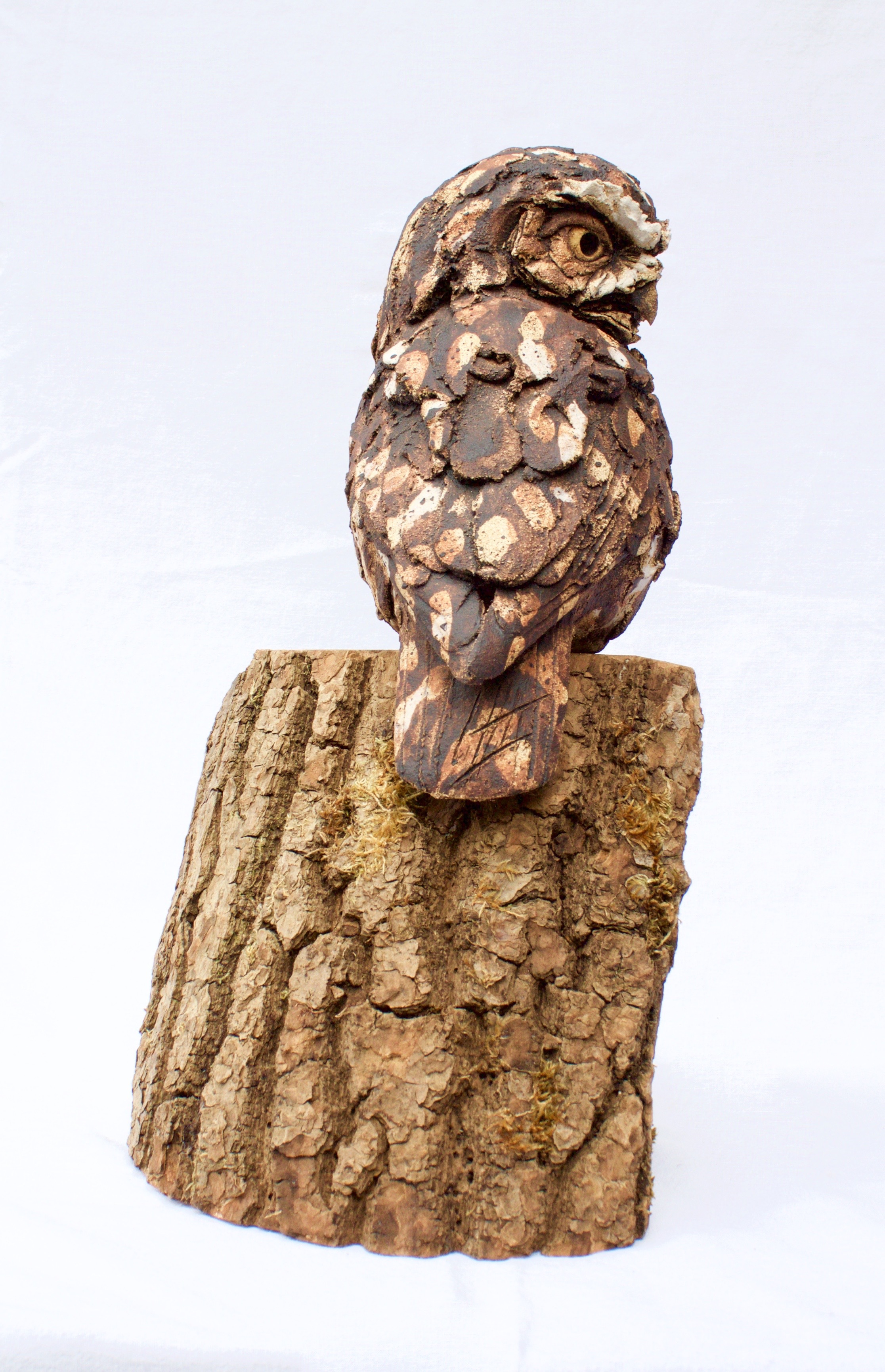 Little Owl ceramic on wood £440 SOLD