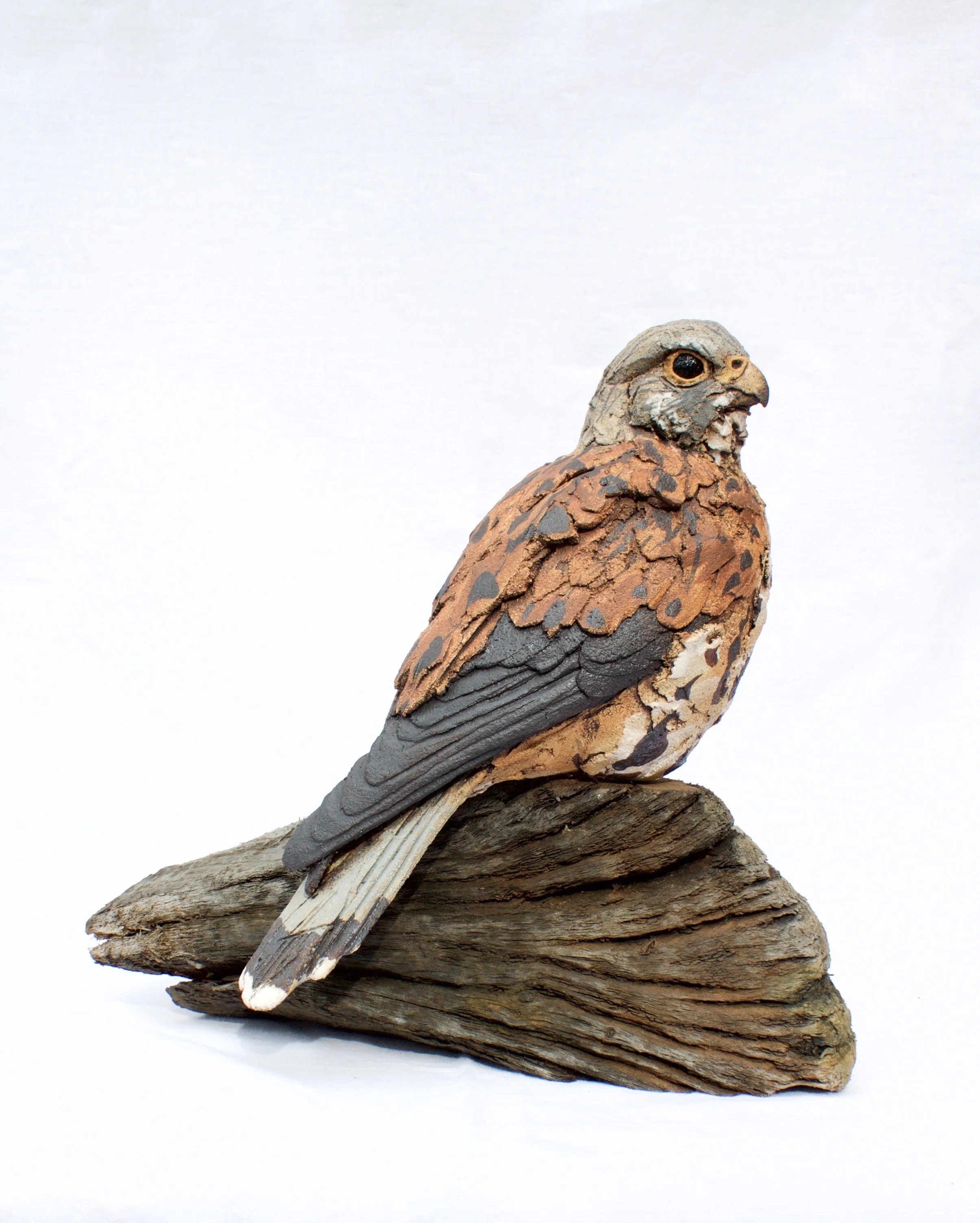 Free Standing Kestrel ceramic on wood £550 SOLD