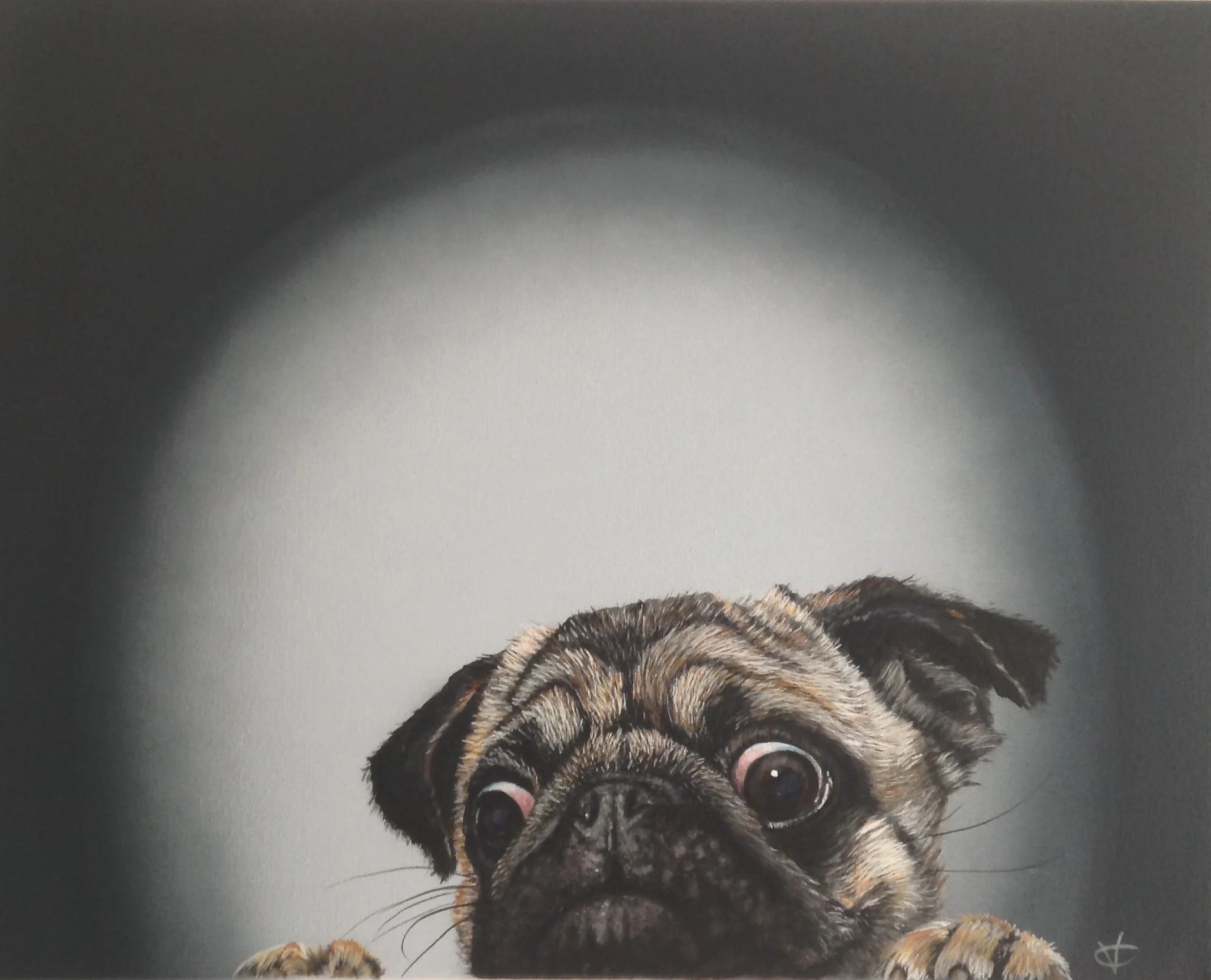 I Spy acrylic on canvas 16 x 20 £260