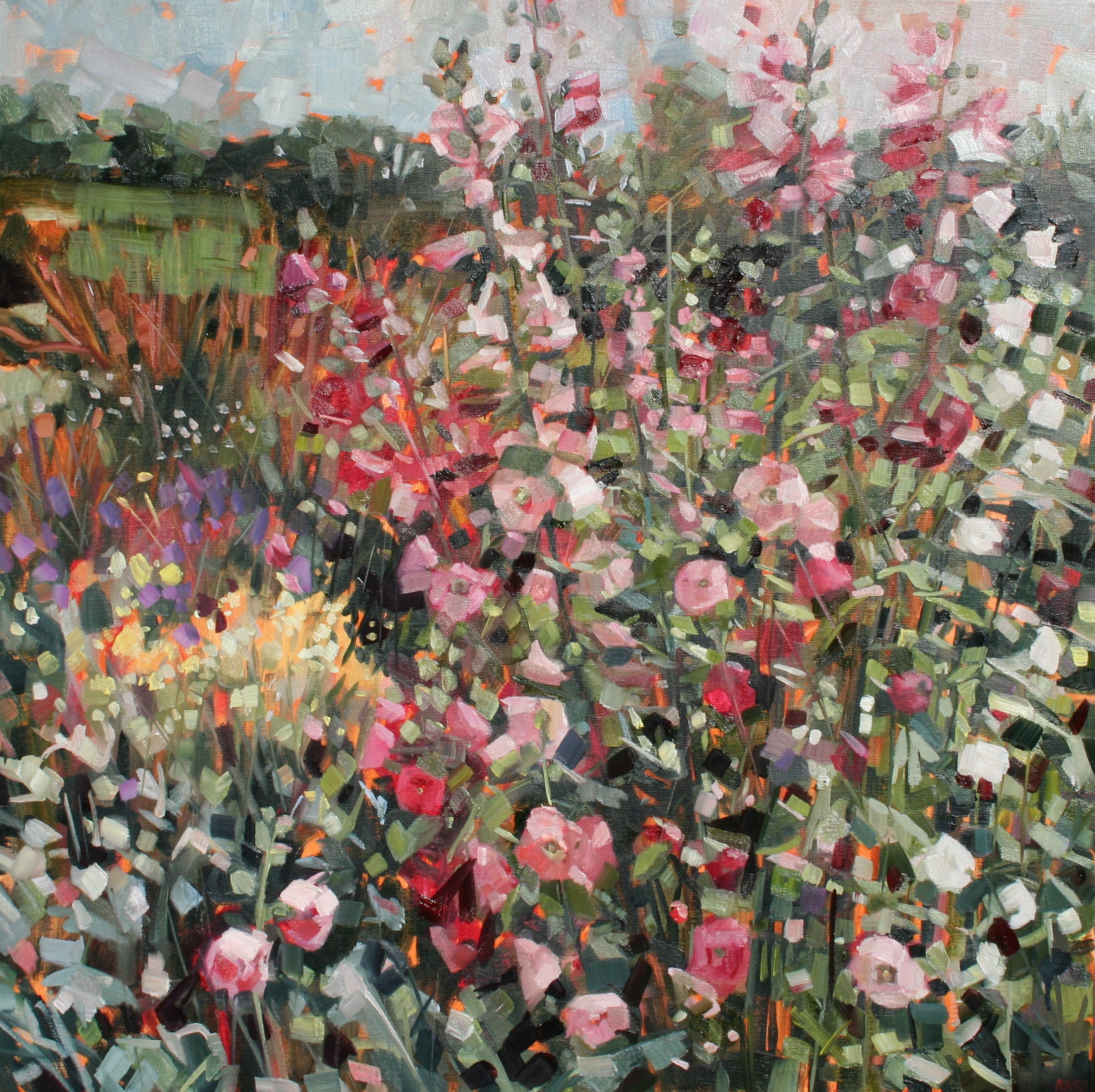 Hollyhocks oil on linen 60 x 60 cm SOLD