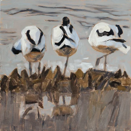 Three Avocets oil 24x24 £450