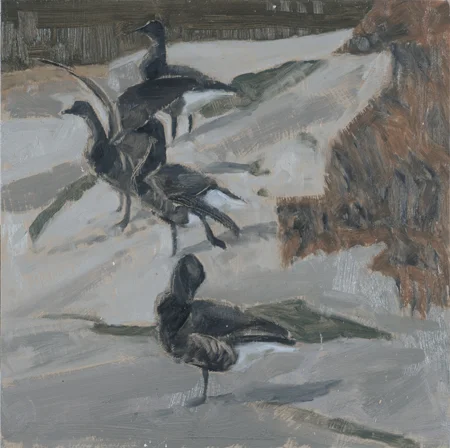 Blakeney Brents oil 24cmx24cm £500