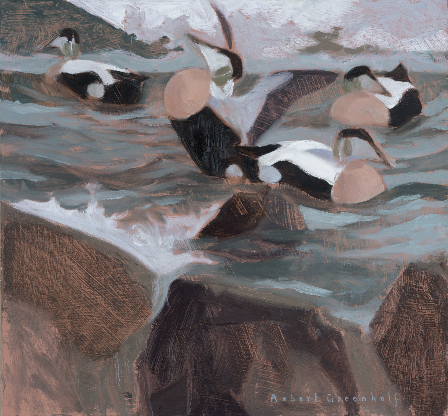 Eiders oil 29cmx32cm £500