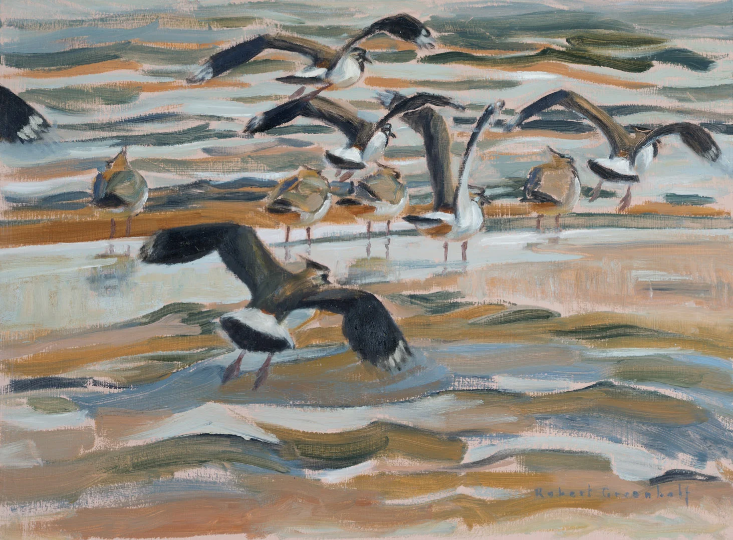 Lapwings flying in oil 32cmx44cm SOLD