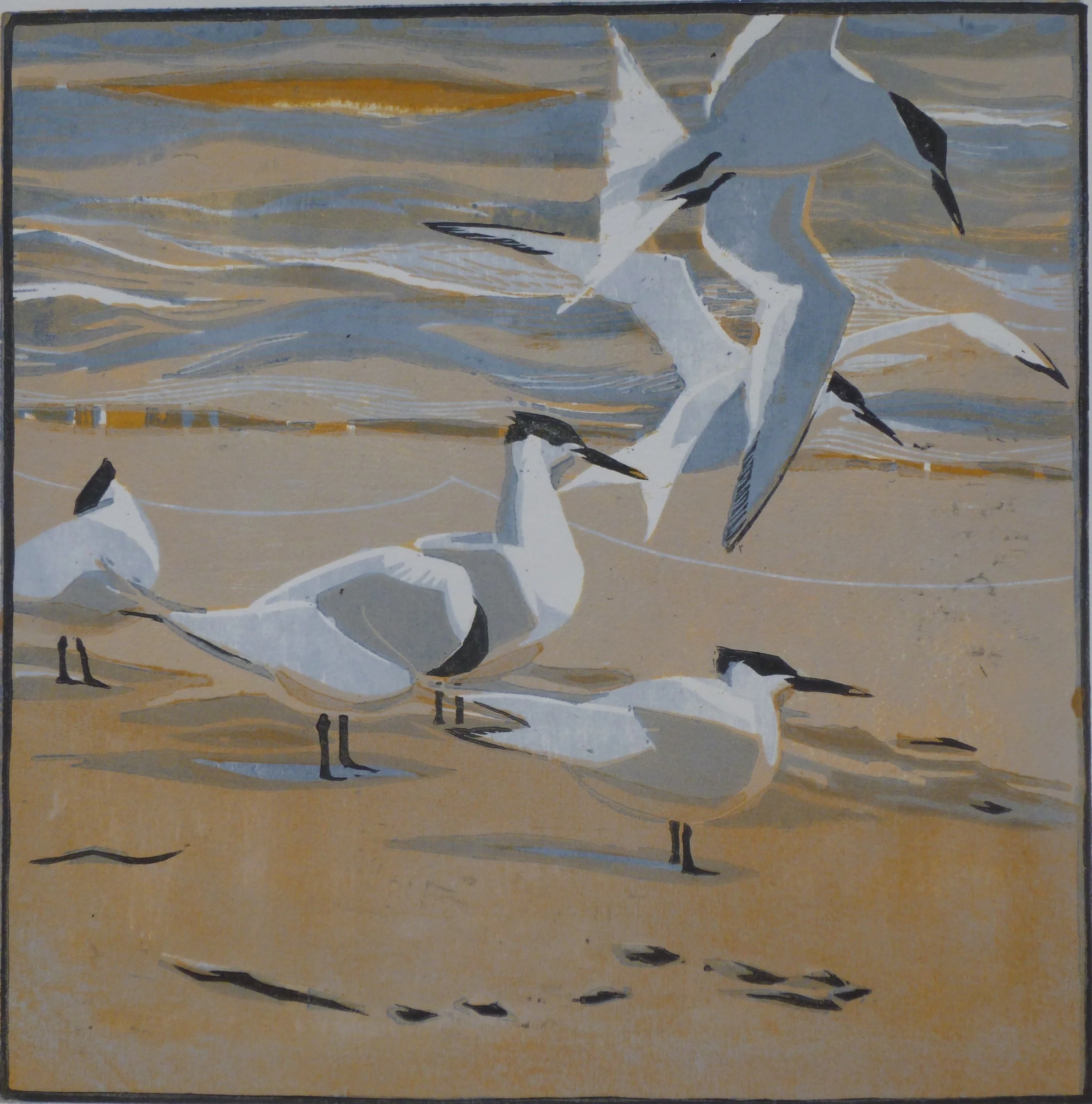 Tideline Turns woodcut 28cmx 28cm Framed £185 Unframed £115