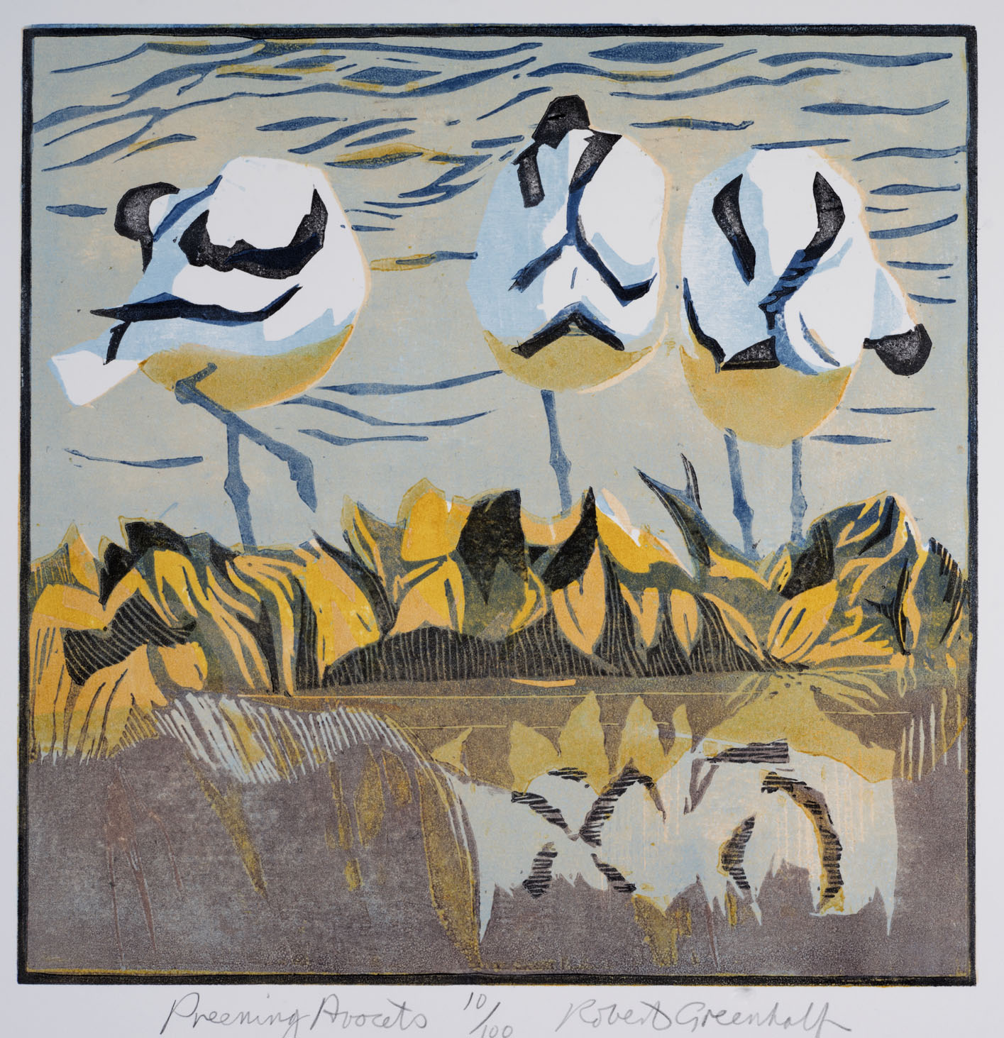 Preening Avocets woodcut 28cmx 28cm Framed £185 Unframed £115