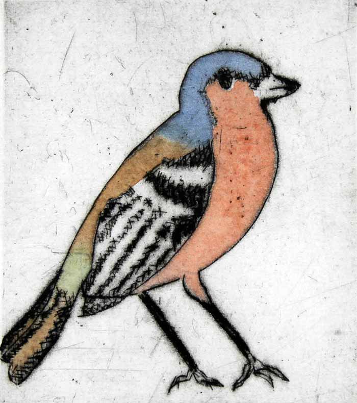 Chaffinch drypoint and watercolour 14 x 12.5 cm £210 framed