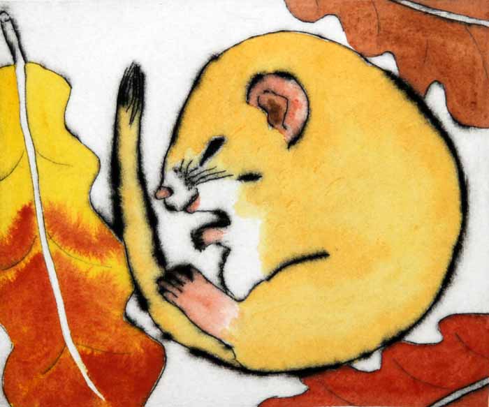 Dreaming dormouse drypoint and watercolour 12.5 x 15 cm £225 unframed