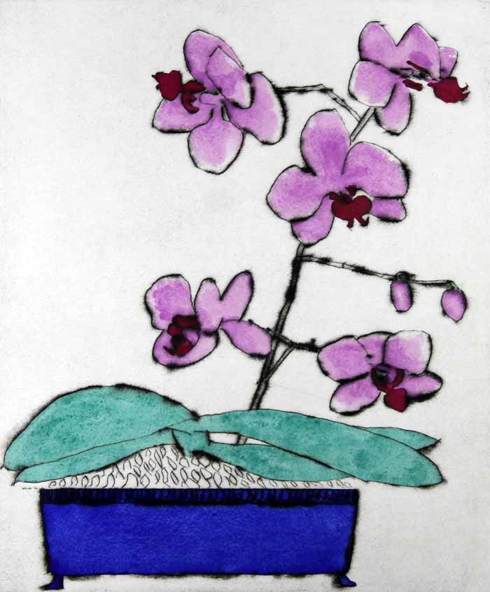 Japanese Orchid drypoint and watercolour 35.5 x 30 cm £390 unframed
