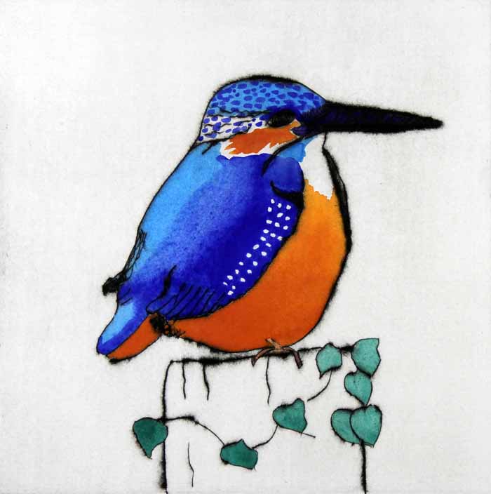 Perching kingfisher drypoint and watercolour 20 x 20 cm £275 unframed