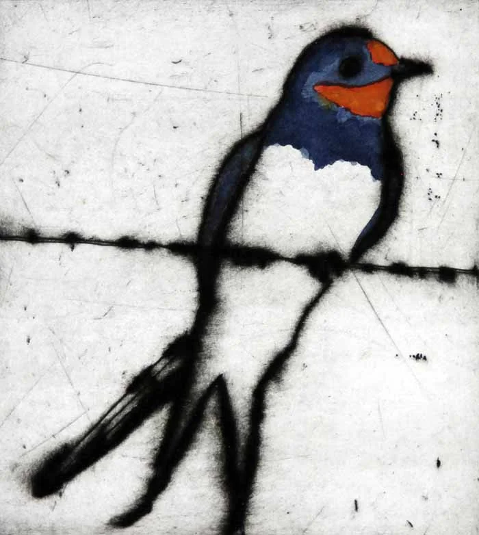 Summer Swallow drypoint and watercolour 14 x 12.5 cm £199 unframed