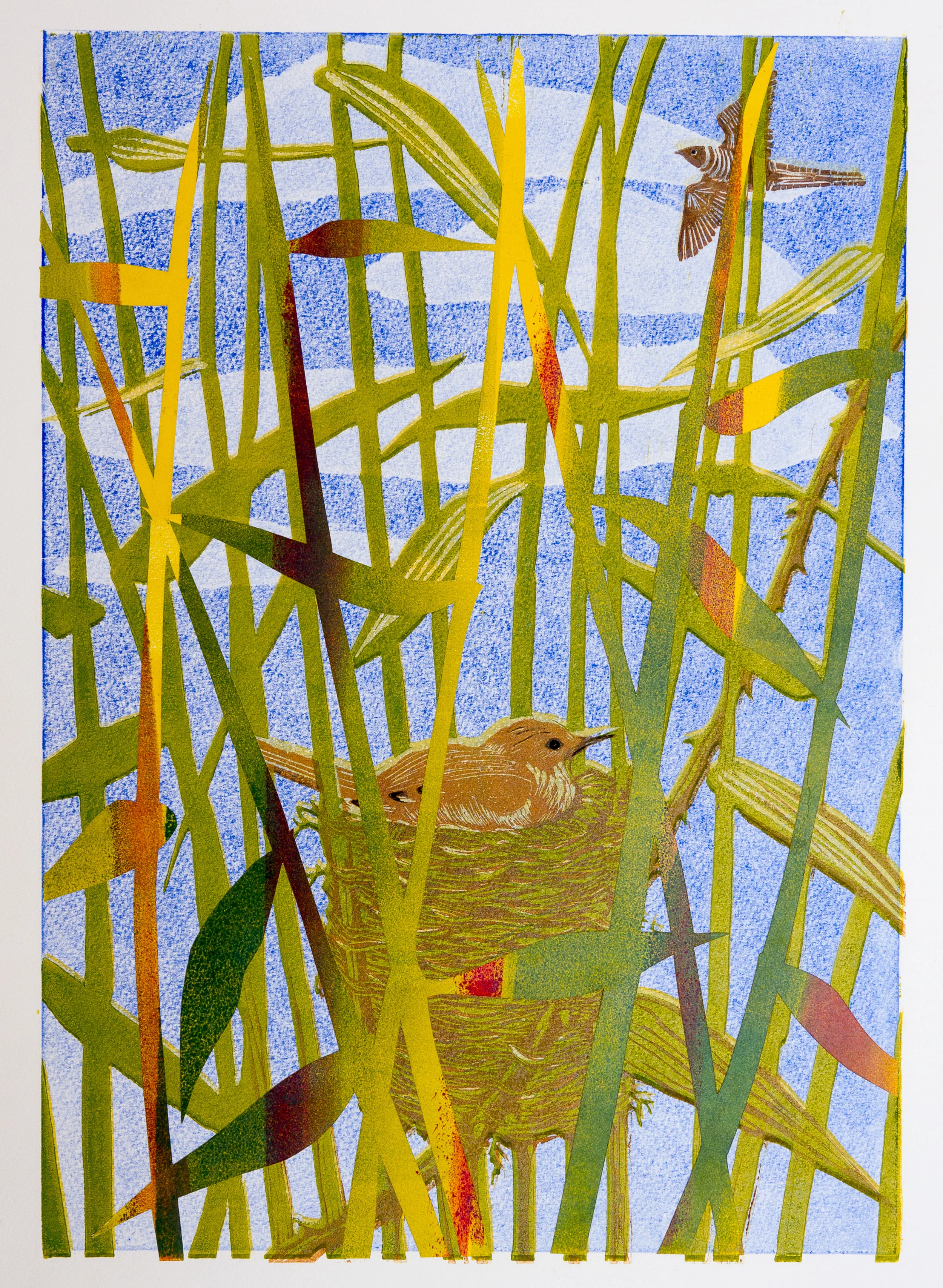 Loud Sing Cuckoo Linocut and collage 42 x 29cms framed £545