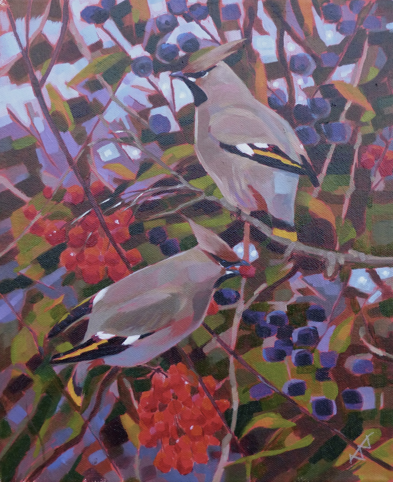 Waxwings with Guelder Rose and Blackthorn acrylic on canvas SOLD