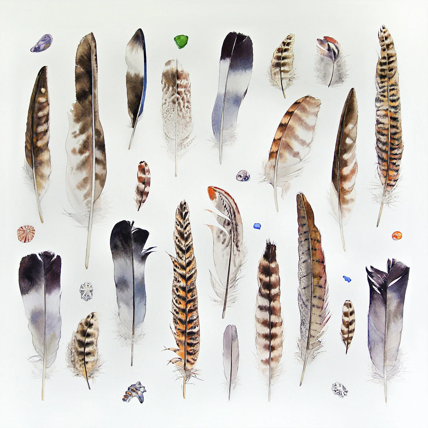 Feathers and Shells watercolour SOLD