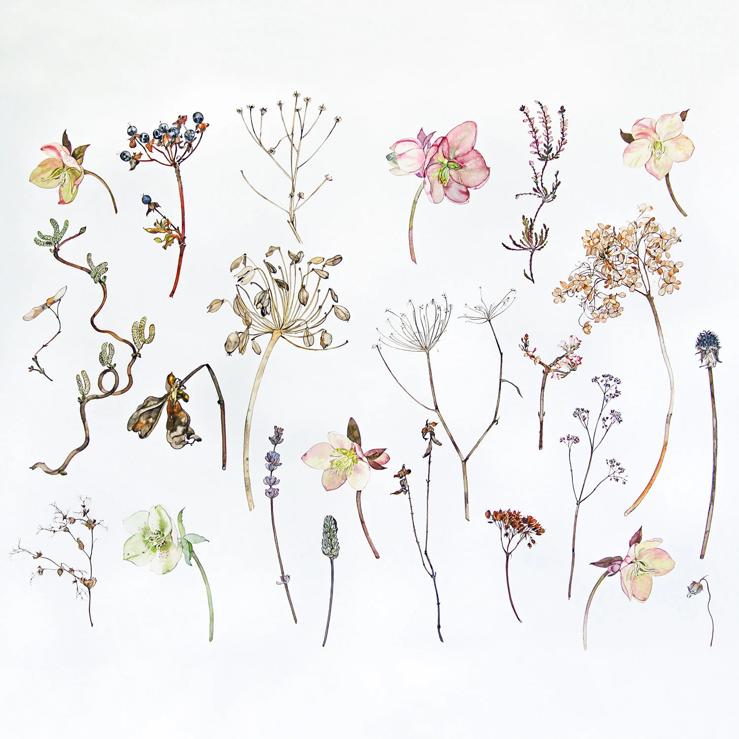 Winter FoliagewatercolourSOLD