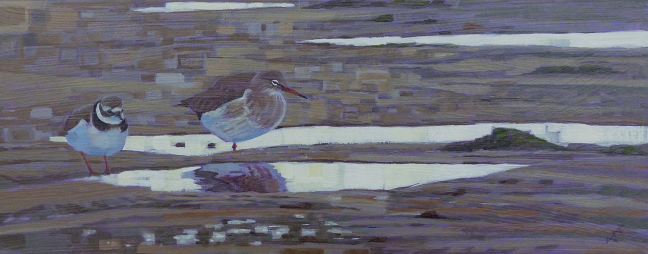 Winter Ringed Plover and Redshank Oil on Canvas sold