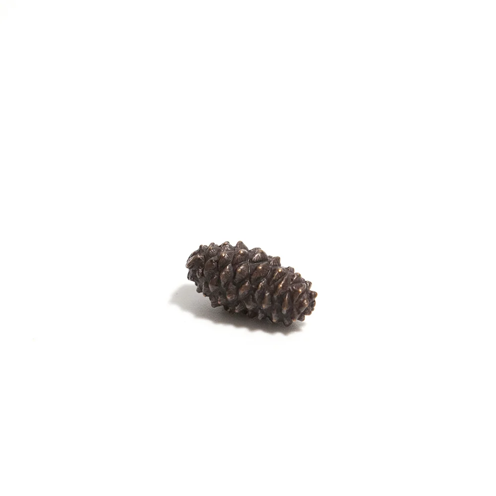 Bonsai Pine Cone bronze £17