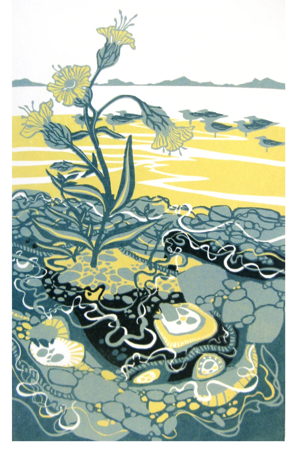 Sea Campion and Gulls linocut £150 (unframed)