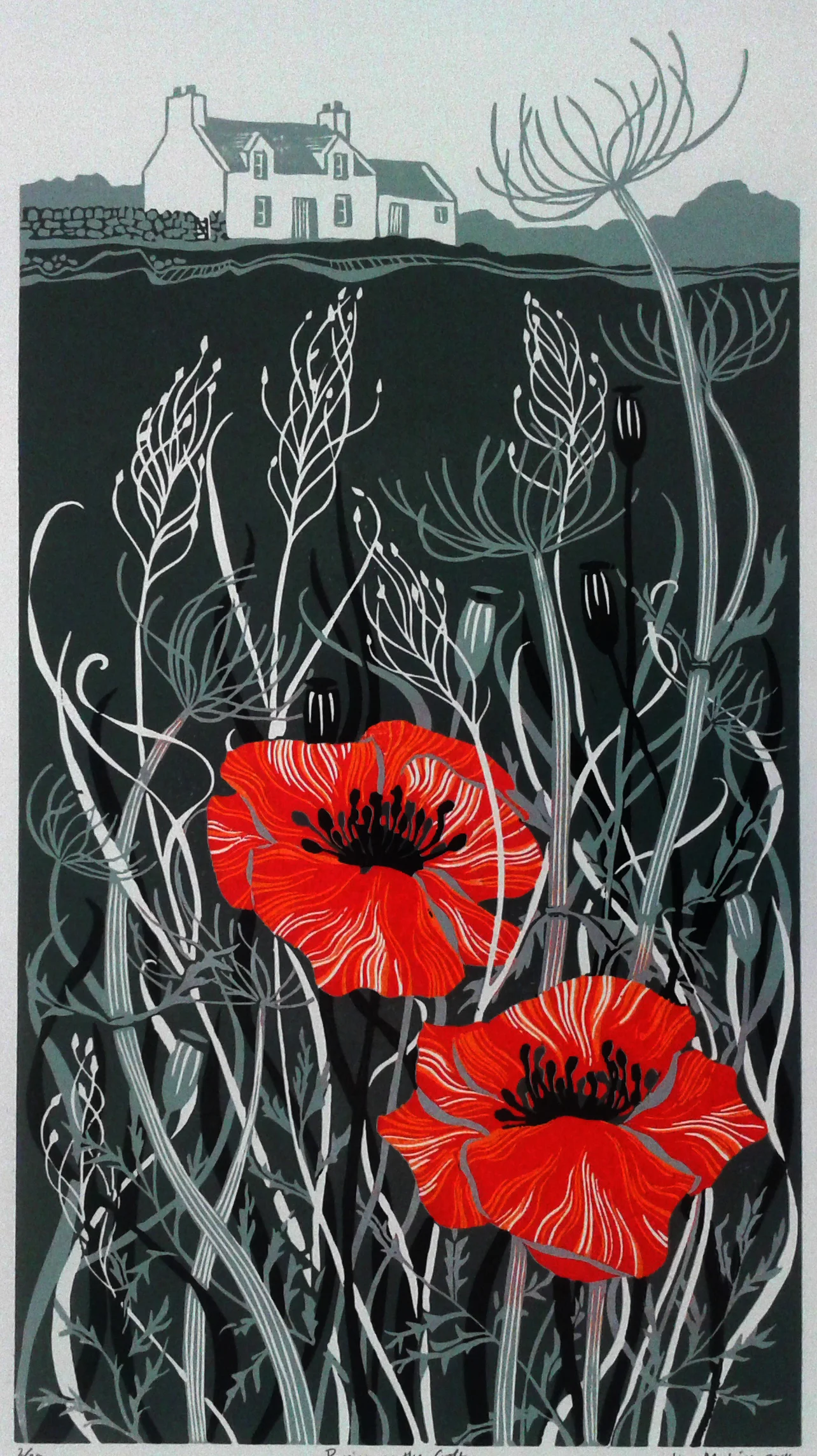 Poppies on the Croft linocut £170 (unframed)