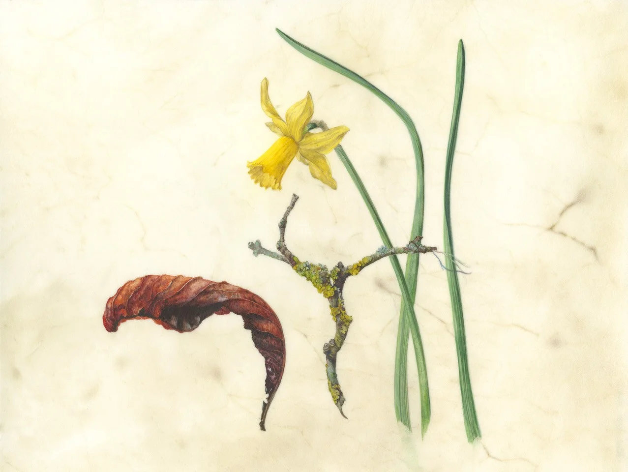 Spring finds watercolour on natural calfskin Image 24x17cm SOLD