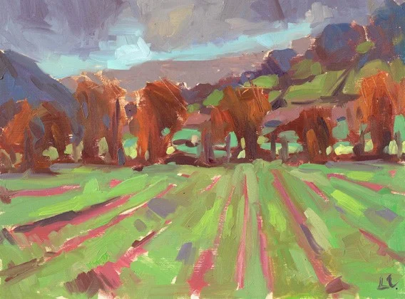 Seeded Fields Bwlch oil on board 21cm X 17cm image size 35cm X 30cm frame size £195