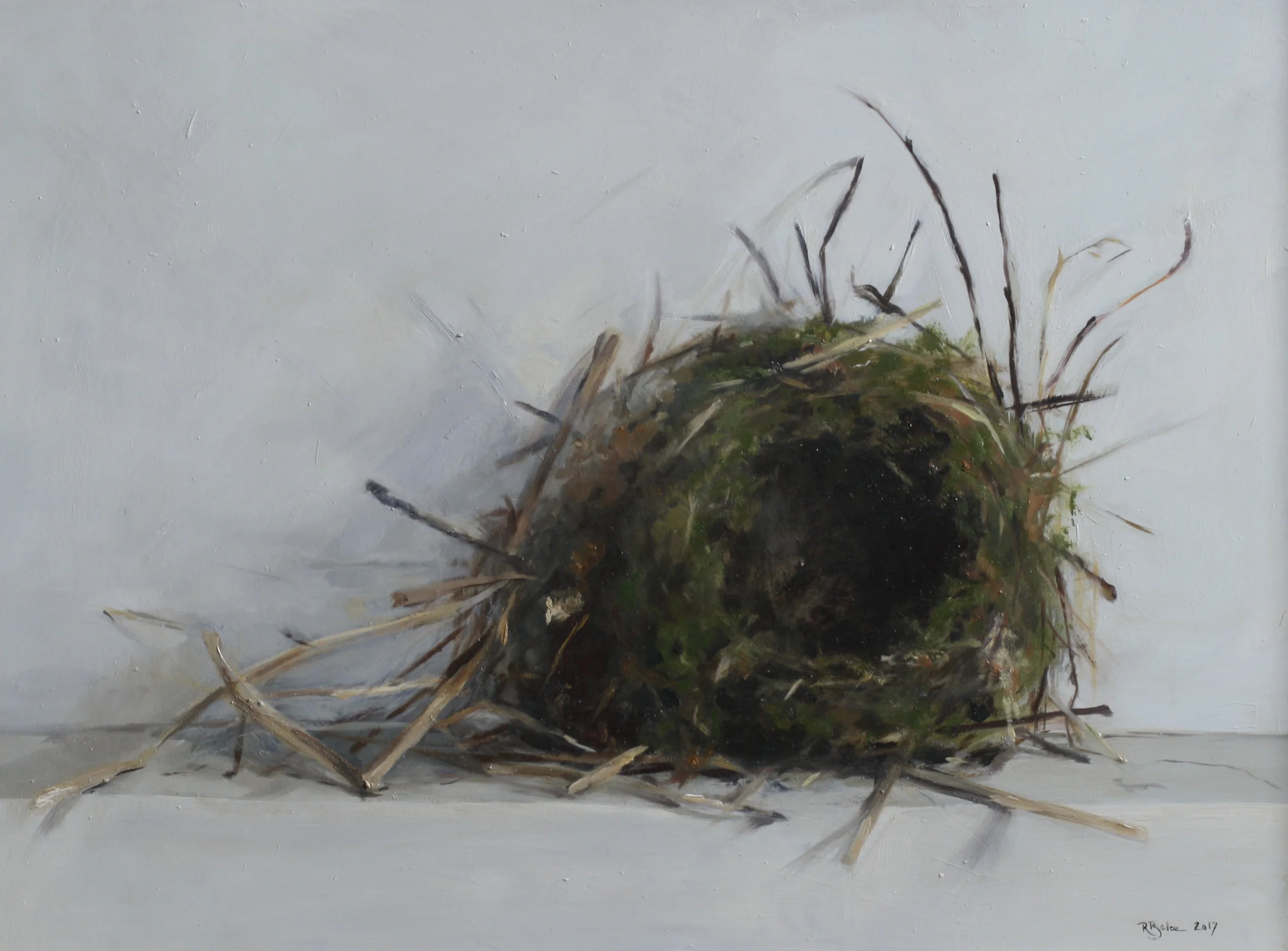 Birds Nest oil on gesso panel 30 x 40cm painting size 45 x 55cm frame size £850